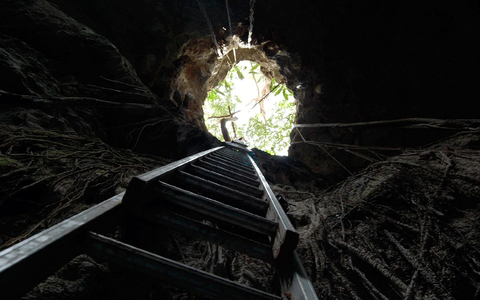 Cenote 03