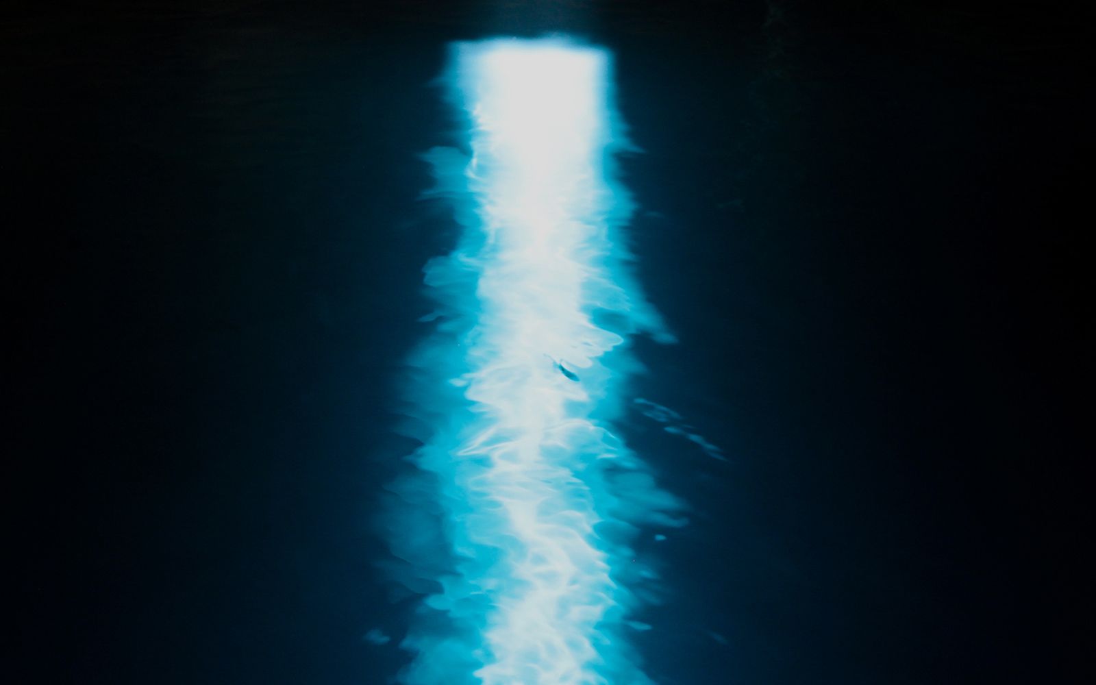 Cenote 14