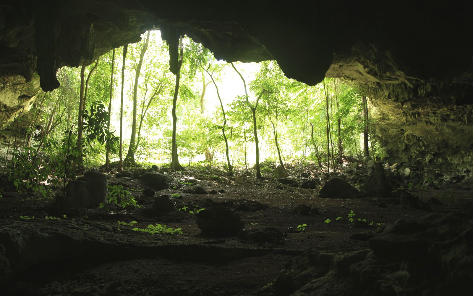 Cenote 15