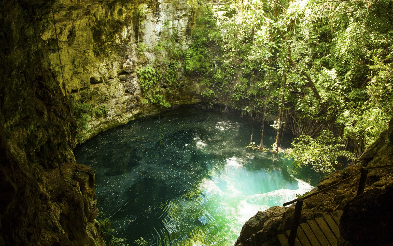 Cenote 19