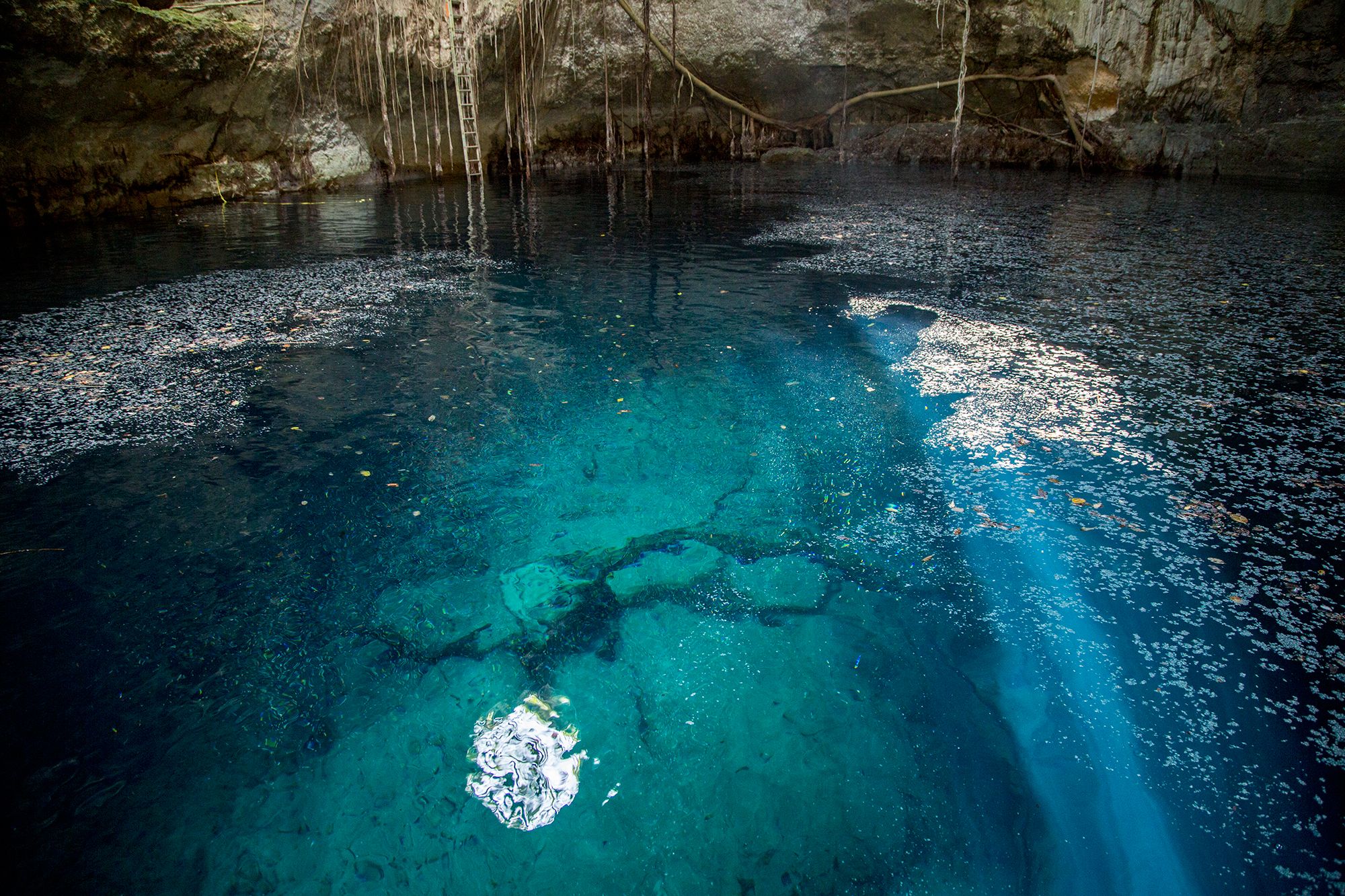 Cenote 21