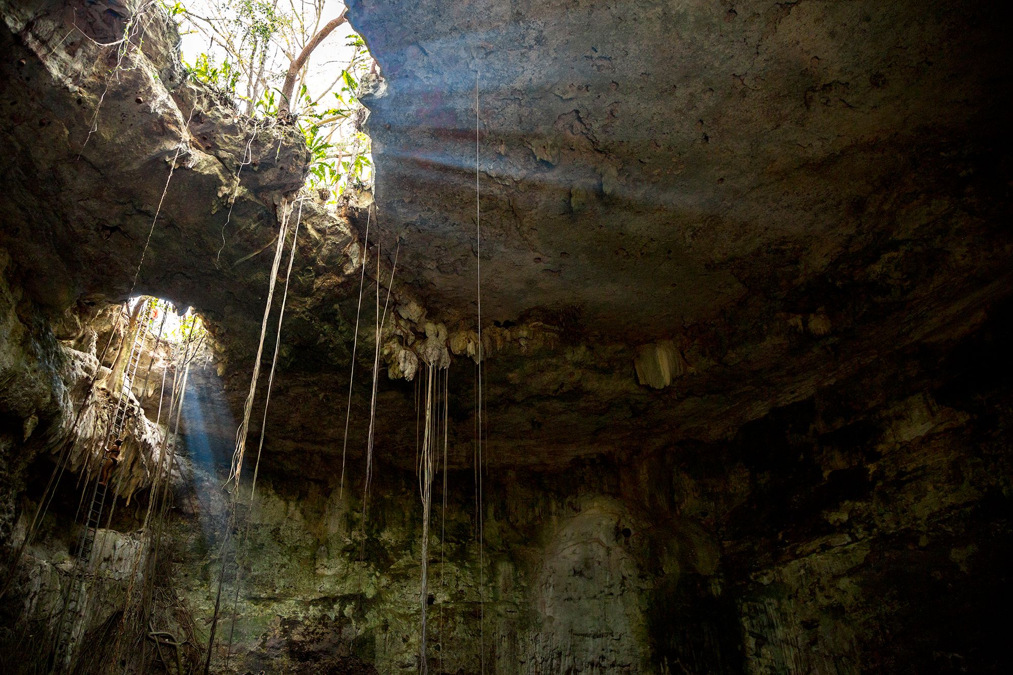 Cenote 22