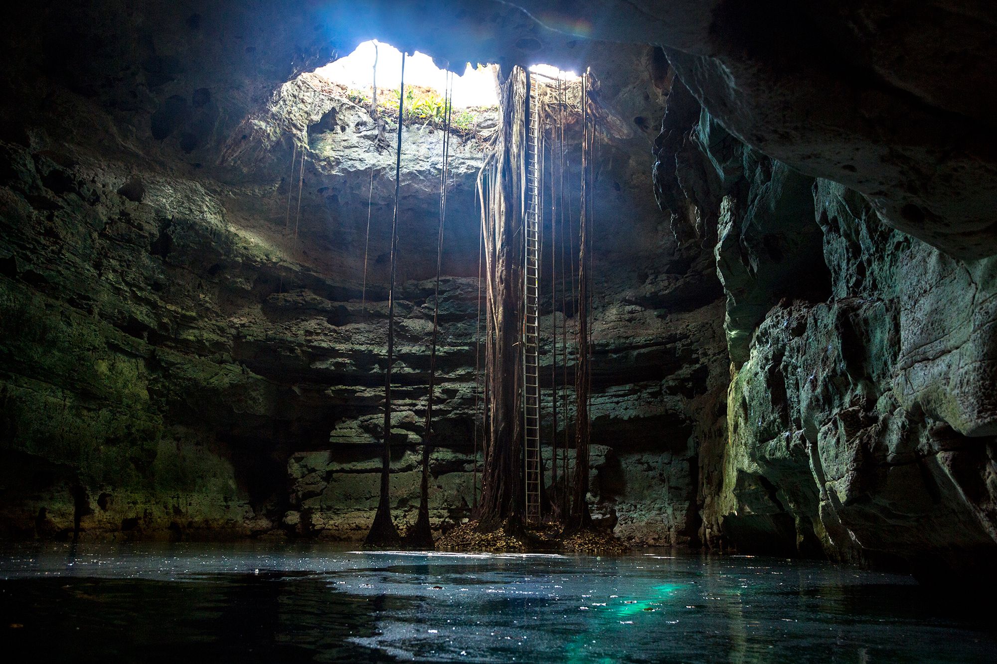 Cenote 23