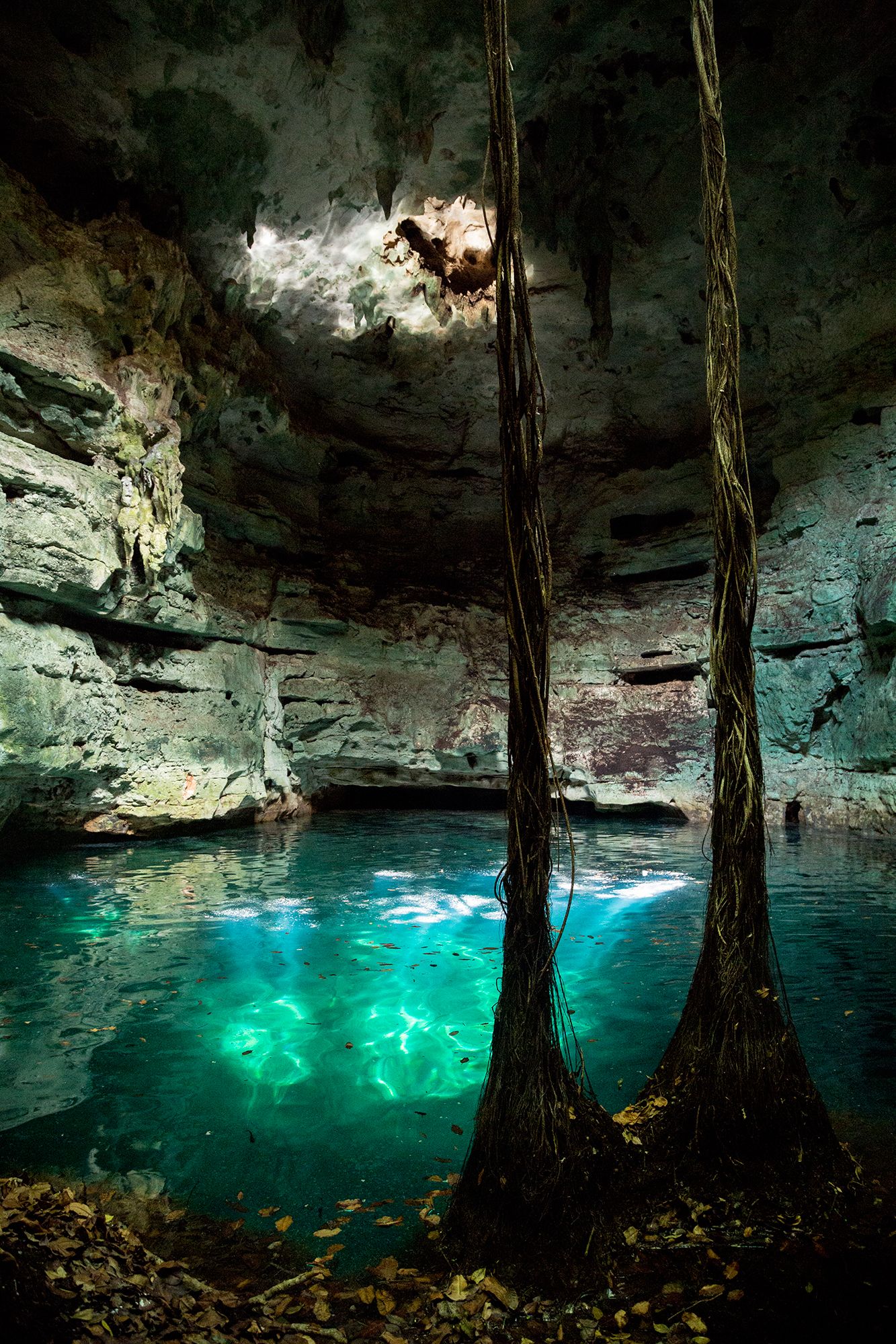 Cenote 24